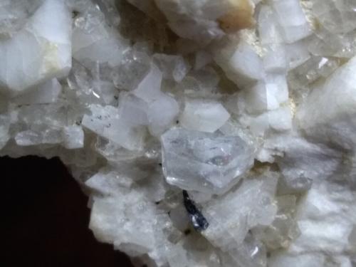 Beryl (variety aquamarine), Schorl, Orthoclase<br />San Piero in Campo, Campo nell'Elba, Isla de Elba, Provincia Livorno, Toscana, Italia<br />99 x 58 mm<br /> (Author: Sante Celiberti)