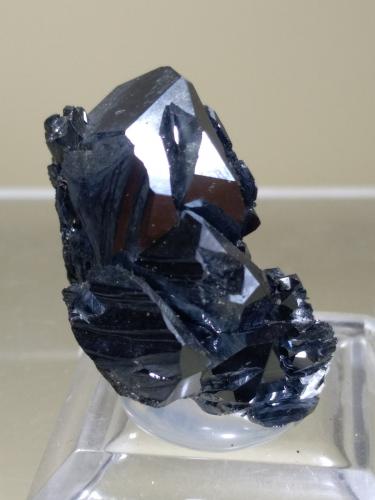 Hematite<br />Mina Rio (Mina Rio Marina), realce Valle Giove, Rio Marina, Isla de Elba, Provincia Livorno, Toscana, Italia<br />28 x 22 mm<br /> (Author: Sante Celiberti)