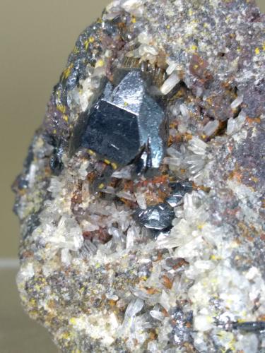 Hematite, Quartz<br />Rio Mine (Rio Marina Mine), Valle Giove stope, Rio Marina, Elba Island, Livorno Province, Tuscany, Italy<br />46 x 41 mm<br /> (Author: Sante Celiberti)