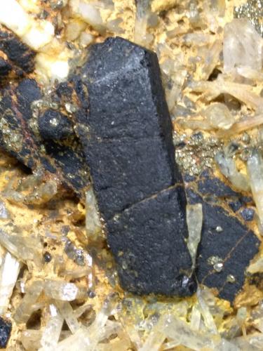 Ilvaite, Quartz, Pyrite<br />Torre di Rio, Santa Filomena area, Rio Marina, Elba Island, Livorno Province, Tuscany, Italy<br />14 x 9 cm<br /> (Author: Sante Celiberti)