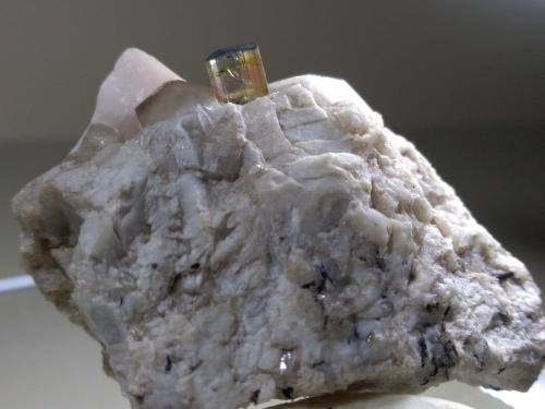 Elbaite, Quartz, Orthoclase<br />Fonte del Prete, San Piero in Campo, Campo nell'Elba, Isla de Elba, Provincia Livorno, Toscana, Italia<br />53,4 x 40,2 mm<br /> (Author: Sante Celiberti)