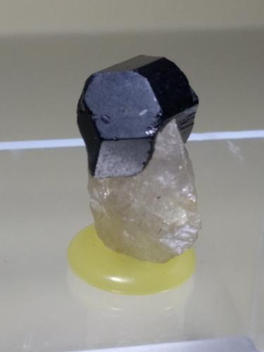 Schorl<br />San Piero in Campo, Campo nell'Elba, Elba Island, Livorno Province, Tuscany, Italy<br />30 x 23 mm<br /> (Author: Sante Celiberti)