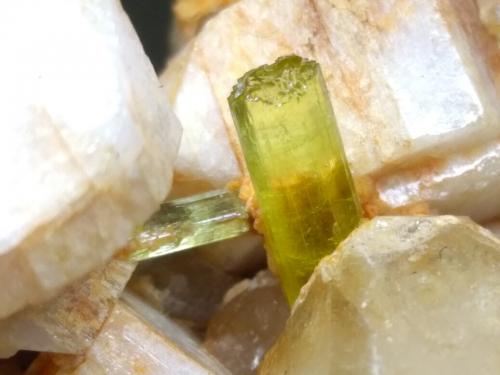 Elbaite, Orthoclase, Quartz<br />Fonte del Prete, San Piero in Campo, Campo nell'Elba, Isla de Elba, Provincia Livorno, Toscana, Italia<br />82 x 45 mm<br /> (Author: Sante Celiberti)