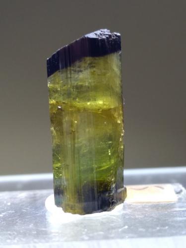 Elbaite<br />Fonte del Prete, San Piero in Campo, Campo nell'Elba, Isla de Elba, Provincia Livorno, Toscana, Italia<br />23 x 10,8 mm<br /> (Author: Sante Celiberti)