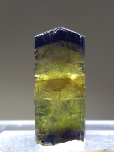 Elbaite<br />Fonte del Prete, San Piero in Campo, Campo nell'Elba, Isla de Elba, Provincia Livorno, Toscana, Italia<br />23 x 10,8 mm<br /> (Author: Sante Celiberti)