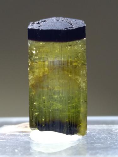 Elbaite<br />Fonte del Prete, San Piero in Campo, Campo nell'Elba, Isla de Elba, Provincia Livorno, Toscana, Italia<br />23 x 10,8 mm<br /> (Author: Sante Celiberti)