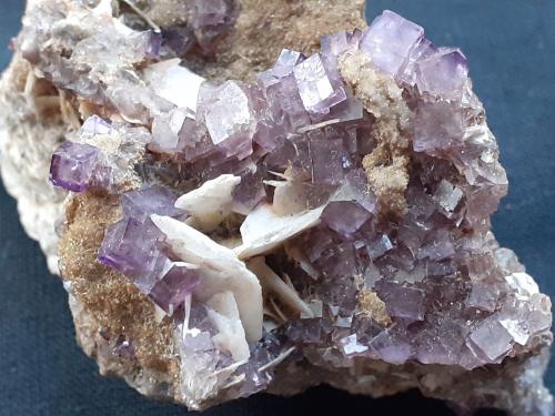 Fluorite, Baryte<br />Berbes mining area, Berbes, Ribadesella, Comarca Oriente, Principality of Asturias (Asturias), Spain<br />6 x 3 cm<br /> (Author: Volkmar Stingl)