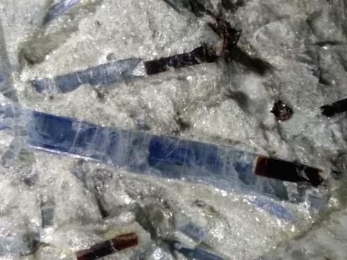 Kyanite, Staurolite, Paragonite<br />Alpe Sponda - Pizzo Forno, Valle Chironico, Leventina, Ticino (Tessin), Suiza<br />23 x 15 cm<br /> (Author: Sante Celiberti)