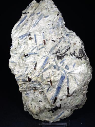 Kyanite, Staurolite, Paragonite<br />Alpe Sponda - Pizzo Forno, Valle Chironico, Leventina, Ticino (Tessin), Suiza<br />23 x 15 cm<br /> (Author: Sante Celiberti)