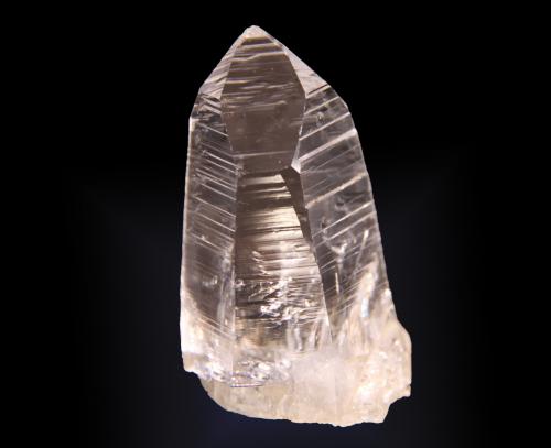 Quartz (variety tessin habit)<br />San Cristobal, Municipio Suaita, Departamento Santander, Colombia<br />34mm x 72mm x 30mm<br /> (Author: Firmo Espinar)