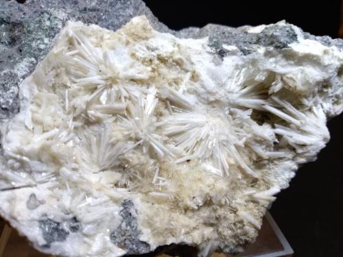 Laumontita<br />Crastu Muradu Quarry, Osilo, Sassari Province, Sardinia/Sardegna, Italy<br />131 x 82 mm<br /> (Autor: Sante Celiberti)