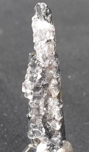 Stibnite, Fluorite<br />Dushan, Prefectura Autónoma Qiannan, Provincia Guizhou, China<br />4,5 x 1 cm<br /> (Author: Volkmar Stingl)