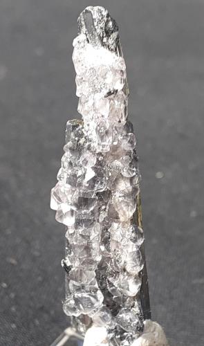 Stibnite, Fluorite<br />Dushan, Qiannan Autonomous Prefecture, Guizhou Province, China<br />4,5 x 1 cm<br /> (Author: Volkmar Stingl)
