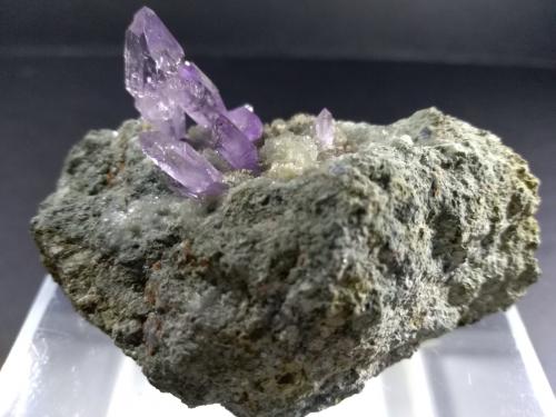 Quartz (variety amethyst)<br />Cantera Capurru, Osilo, Provincia Sassari, Cerdeña/Sardegna, Italia<br />67 x 40,5 mm<br /> (Author: Sante Celiberti)