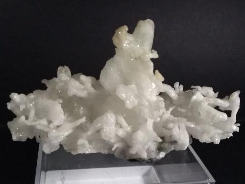 Aragonite (variety flos ferri)<br />Mina San Giovanni, Punta della Torre, Iglesias, Provincia Sud Sardegna, Cerdeña/Sardegna, Italia<br />10,5 x 6,5 cm<br /> (Author: Sante Celiberti)