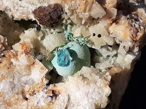 Malachite, Dolomite<br />Kogelmoos, Gallzein, Schwaz District, North Tyrol, Tyrol/Tirol, Austria<br />6 x 5,5 cm<br /> (Author: Volkmar Stingl)