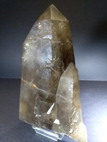 Quartz (variety smoky)<br />Ruinó Valley, Bedretto Valley, Leventina, Ticino (Tessin), Switzerland<br />22 x 11 cm<br /> (Author: Sante Celiberti)