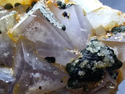 Fluorite, Marcasite, Quartz<br />Is Murvonis Mine, Domusnovas, Sud Sardegna Province, Sardinia/Sardegna, Italy<br />80 x 65 mm<br /> (Author: Sante Celiberti)