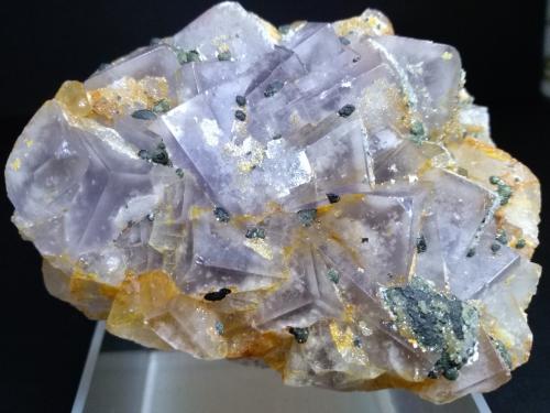 Fluorite, Marcasite, Quartz<br />Is Murvonis Mine, Domusnovas, Sud Sardegna Province, Sardinia/Sardegna, Italy<br />80 x 65 mm<br /> (Author: Sante Celiberti)