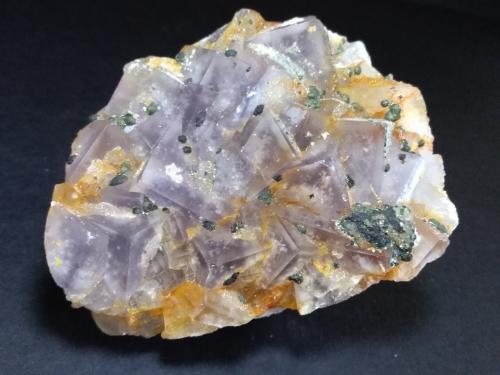 Fluorite, Marcasite, Quartz<br />Is Murvonis Mine, Domusnovas, Sud Sardegna Province, Sardinia/Sardegna, Italy<br />80 x 65 mm<br /> (Author: Sante Celiberti)