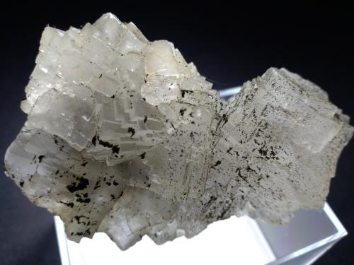Fluorite, Pyrite<br />Su Zurfuru Mine, Fluminimaggiore, Sud Sardegna Province, Sardinia/Sardegna, Italy<br />83 x 54 mm<br /> (Author: Sante Celiberti)
