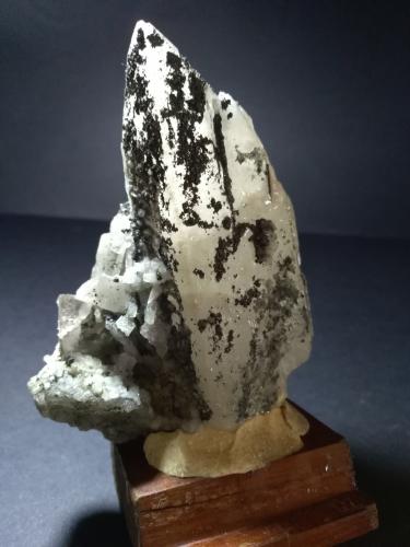 Barite<br />Silius, Metropolitan City of Cagliari, Sardinia/Sardegna, Italy<br />11 x 8 cm<br /> (Author: Sante Celiberti)