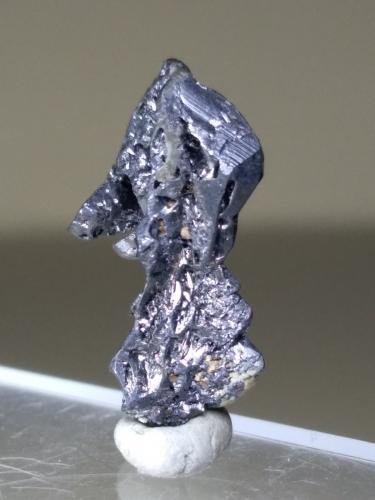 Acantita<br />Masaloni Mine, San Vito, Sud Sardegna Province, Sardinia/Sardegna, Italy<br />18 x 10,3 mm<br /> (Autor: Sante Celiberti)