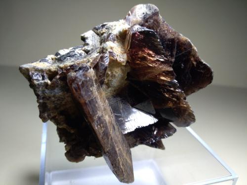 Axinite (Group)<br />Le Bourg d'Oisans, Grenoble, Isère, Auvergne-Rhône-Alpes, Francia<br />69 x 60 mm<br /> (Author: Sante Celiberti)