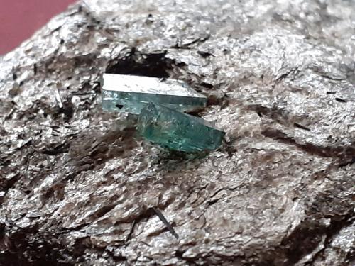 Beryl (variety Emerald)<br />Sedl, Habach Valley, Hohe Tauern, Salzburg, Austria<br />6 x 4 cm<br /> (Author: Volkmar Stingl)