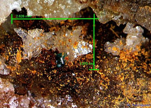 Cerusita y Paratacamita.<br />Sierra del Cabo de Gata, Níjar, Comarca Metropolitana de Almería, Almería, Andalucía, España<br />2´626 x 1´573 mm.<br /> (Autor: Jesus Franquesa Baucells)