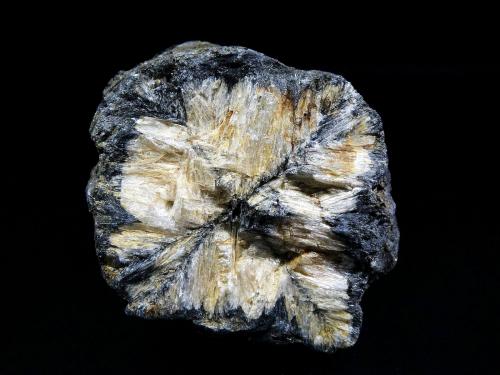 Andalucita (variedad quiastolita)<br />Península Kola, Murmanskaja Oblast, Región del Norte, Rusia<br />6 x 5 cm.<br /> (Autor: Antonio P. López)