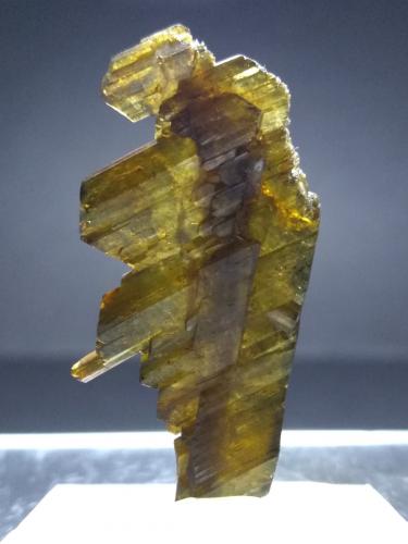 Epidote<br />Sollnkar, Krimml, Distrito Zell am See, Salzburgo/Salzburg, Austria<br />36,5 x 20 mm<br /> (Author: Sante Celiberti)