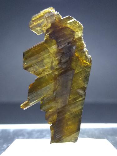 Epidote<br />Sollnkar, Krimml, Zell am See District, Salzburg, Austria<br />36,5 x 20 mm<br /> (Author: Sante Celiberti)