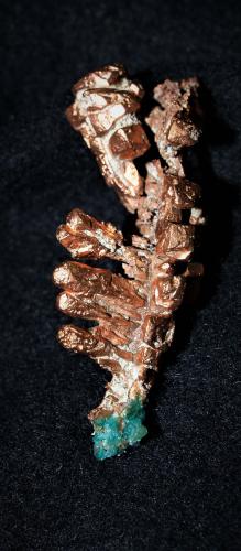 Copper<br />Keweenaw County, Michigan, USA<br />3x1.5x1.2 cm''s<br /> (Author: Joseph DOliveira)