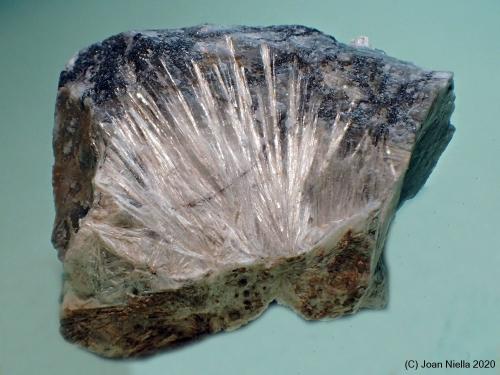 Tremolita<br />Minas del Barranco del Humo, Albuñuelas, Comarca Valle de Lecrín, Granada, Andalucía, España<br />40 x 25 mm<br /> (Autor: Joan Niella)