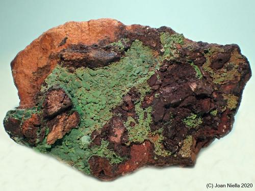 Conichalcita<br />Mina Dolores, Pastrana, Mazarrón / Águilas, Comarca Alto Guadalentín, Región de Murcia (Murcia), España<br />60x40 mm<br /> (Autor: Joan Niella)