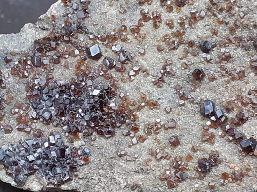 Grossular (variety hessonite)<br />Zona Refugio Berliner, Macizo Ochsner-Rotkopf, Valle Ziller (Zillertal), Tirol Norte, Tirol, Austria<br />6 x 3,5 cm<br /> (Author: Volkmar Stingl)