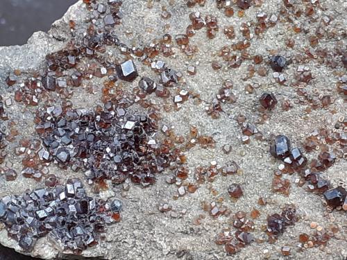 Grossular (variety hessonite)<br />Berliner Hut, Ochsner-Rotkopf Massif, Ziller Valley (Zillertal), North Tyrol, Tyrol/Tirol, Austria<br />6 x 3,5 cm<br /> (Author: Volkmar Stingl)