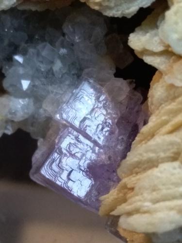 Fluorite, Baryte, Quartz<br />Muscadroxius-Genna Tres Montis Mine, Silius, Sud Sardegna Province, Sardinia/Sardegna, Italy<br />116 x 50 mm<br /> (Author: Sante Celiberti)