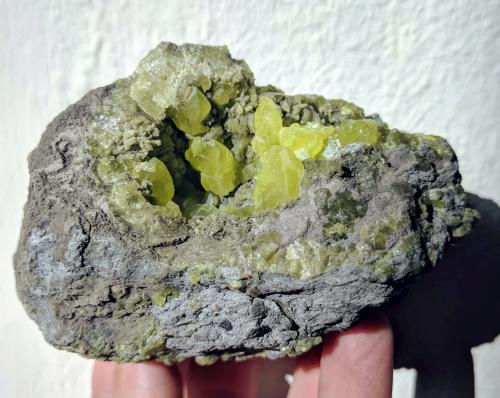 Azufre<br />Outcrop El Aila, El Aila (La Lastra), Laredo, Comarca Costa Oriental, Cantabria, Spain<br />9,5 x 5,0 cm<br /> (Autor: Carles)