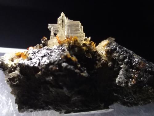 Cerusita<br />Montevecchio Mines, Arbus, Medio Campidano Province, Sardinia/Sardegna, Italy<br />51 x 27 mm<br /> (Autor: Sante Celiberti)