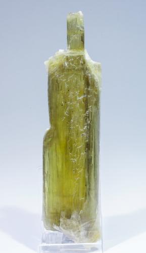 Diaspore with Margarite<br />Monte Ilbir, Pinarcik, Distrito Milâs, Provincia Muğla, Región Egeo, Turquía<br />14.9 × 3.6 × 1.7 cm<br /> (Author: Jordi Fabre)