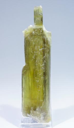 Diaspore with Margarite<br />Ilbir Mountain, Pinarcik, Milâs District, Muğla Province, Aegean Region, Turkey<br />14.9 × 3.6 × 1.7 cm<br /> (Author: Jordi Fabre)