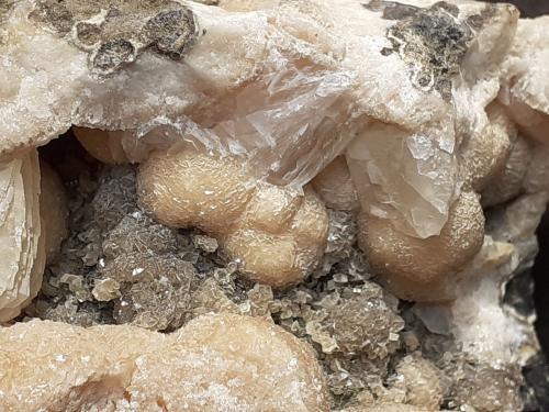 Calcite<br />Wildon (former Weitendorf), Leibnitz District, Styria/Steiermark, Austria<br />11 x 5 cm<br /> (Author: Volkmar Stingl)
