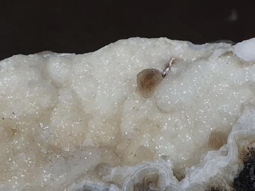 Calcite, Quartz<br />Wildon (former Weitendorf), Leibnitz District, Styria/Steiermark, Austria<br />FoV 7 x 5 cm<br /> (Author: Volkmar Stingl)