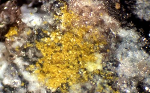 Copiapita<br />Mina Feliz Encuentro, Sierra Almagrera, Cuevas del Almanzora, Comarca Levante Almeriense, Almería, Andalucía, España<br />3 mm.<br /> (Autor: José Luis Zamora)