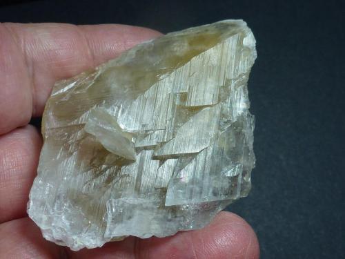 Glauberita<br />Consuelo Mine, Chinchón, Comarca Las Vegas, Community of Madrid, Spain<br />5 x 5 cm.<br /> (Autor: javier ruiz martin)