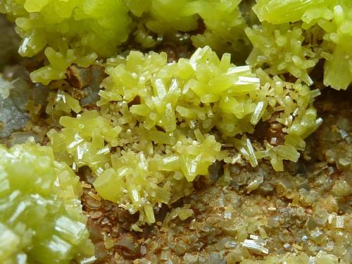 Piromorfita<br />San Andrés Mine, Espiel, Comarca Valle del Guadiato, Córdoba, Andalusia, Spain<br />Encuadre 2 x 2 cm.<br /> (Autor: javier ruiz martin)