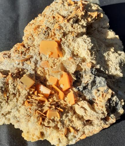 Wulfenite, Galena<br />Bleiberg mining area, Gailtaler Alpen & Karnische Alpen, Carinthia/Kärnten, Austria<br />11 x 10 cm<br /> (Author: Volkmar Stingl)