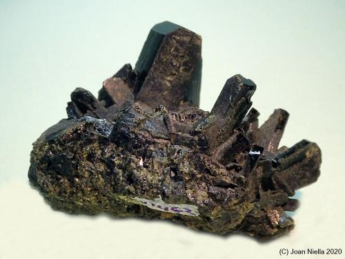 Epidota<br />Valle Zhob, Distrito Quetta, Balochistan (Baluchistan), Paquistán<br />50x40 mm<br /> (Autor: Joan Niella)